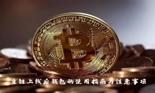 主链上线后钱包的使用指南与注意事项