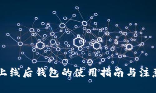 主链上线后钱包的使用指南与注意事项