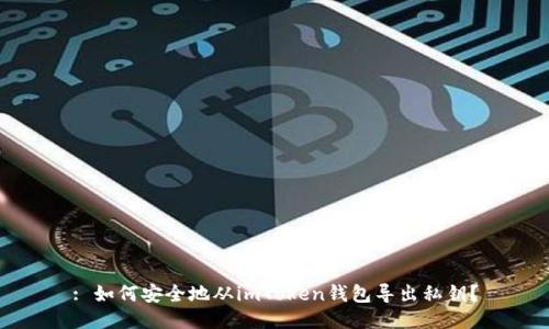 : 如何安全地从imToken钱包导出私钥？