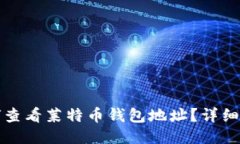 如何查看莱特币钱包地址？详细指南