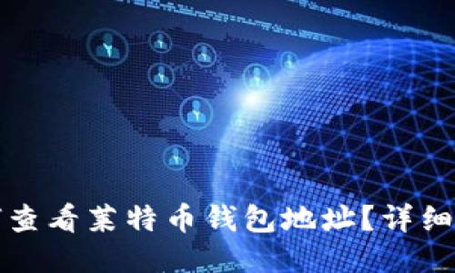 如何查看莱特币钱包地址？详细指南
