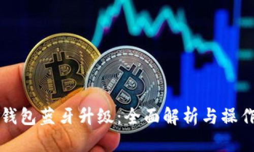 比太钱包蓝牙升级：全面解析与操作指南