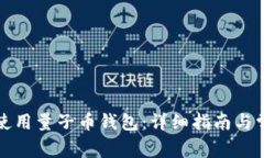 如何下载和使用量子币钱包：详细指南与常见问