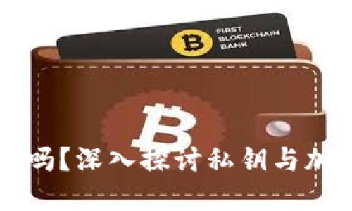 私钥可以加密吗？深入探讨私钥与加密技术的关系