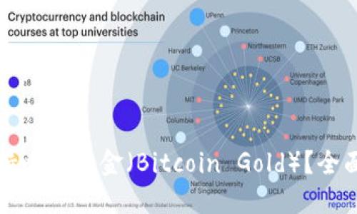 哪些钱包支持比特黄金（Bitcoin Gold）？全面指南与推荐
