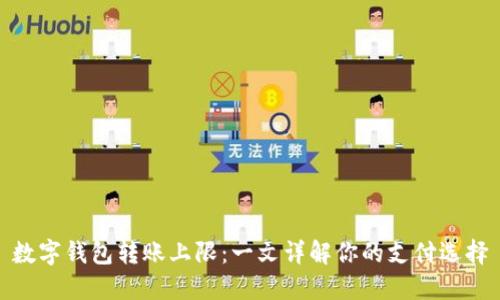 数字钱包转账上限：一文详解你的支付选择