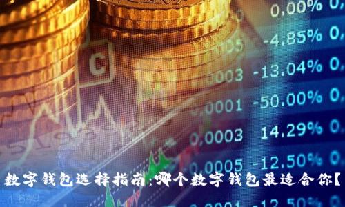 数字钱包选择指南：哪个数字钱包最适合你？