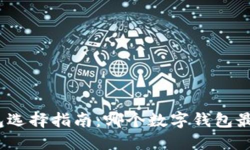 数字钱包选择指南：哪个数字钱包最适合你？