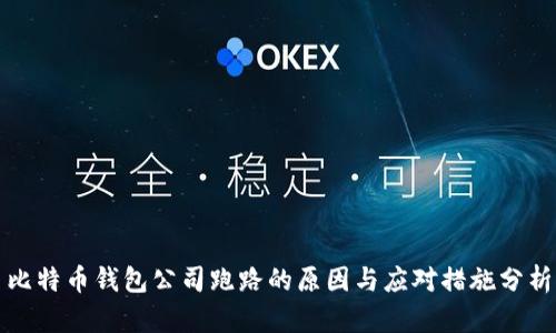 比特币钱包公司跑路的原因与应对措施分析