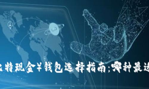 BCC（比特现金）钱包选择指南：哪种最适合你？