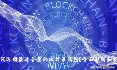 如何选择最适合您的比特币钱包？全面解析和推