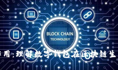 库神钱包的作用：理解数字钱包在区块链生态中的重要性