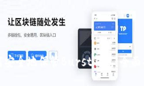 如何安全地保管Burst钱包：全面指南
