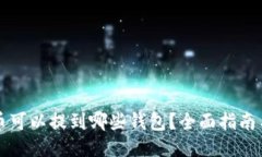 狗狗币可以提到哪些钱包？全面指南与推荐