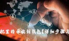怎么把莱特币放到钱包？详细步骤与指南