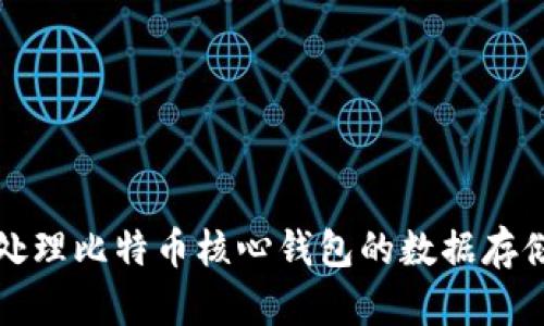 如何处理比特币核心钱包的数据存储问题
