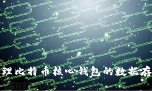 如何处理比特币核心钱包的数据存储问题