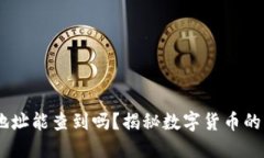 USDT互转地址能查到吗？揭秘数字货币的隐私与透