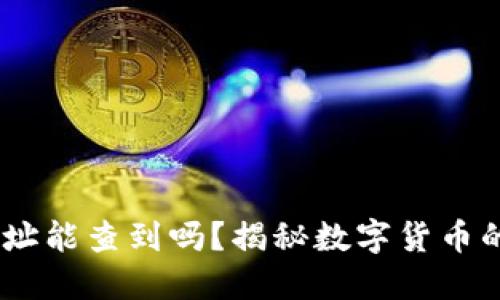 USDT互转地址能查到吗？揭秘数字货币的隐私与透明