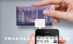详解比太钱包应用：使用教材与实操指南