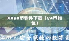 瑞波钱包中文APP：安全便捷的数字资产管理工具