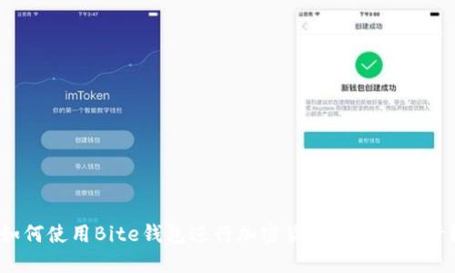 如何使用Bite钱包进行加密货币交易和投资？