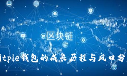 Bitpie钱包的成长历程与风口分析