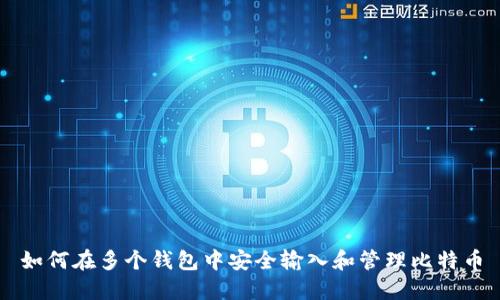 如何在多个钱包中安全输入和管理比特币