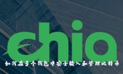 如何在多个钱包中安全输入和管理比特币