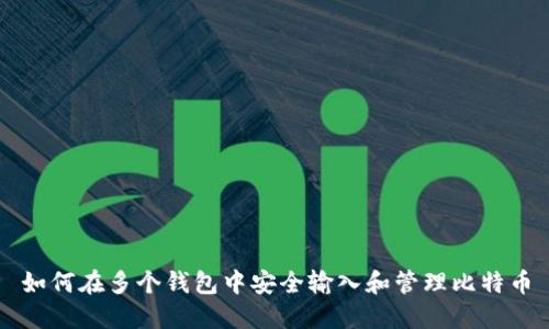 如何在多个钱包中安全输入和管理比特币