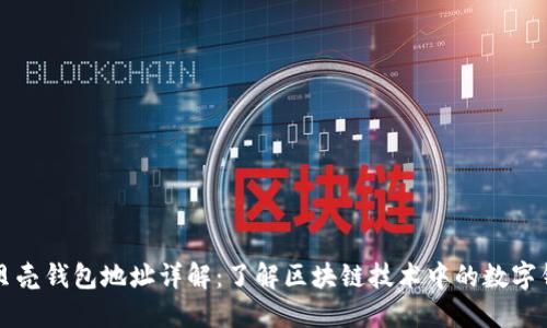 红贝壳钱包地址详解：了解区块链技术中的数字钱包