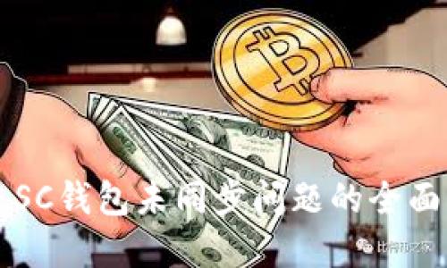 解决SC钱包未同步问题的全面指南