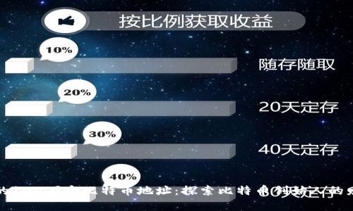 中本聪的100万个比特币地址：探索比特币创始人的财富之谜