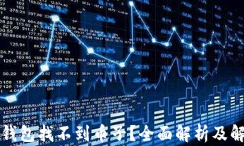 
量子链钱包找不到币子？全面解析及解决方案
