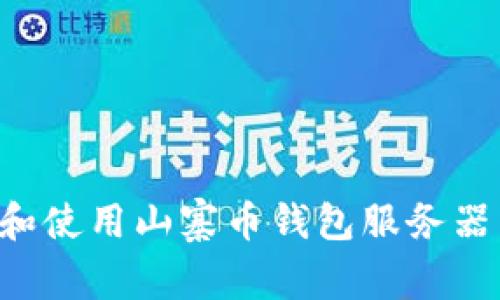 如何选择和使用山寨币钱包服务器：全面指南
