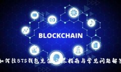 如何往BTS钱包充值：详尽指南与常见问题解答