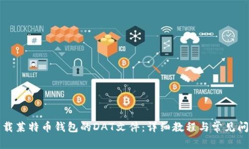 如何下载莱特币钱包的DAT文件：详细教程与常见问题解答
