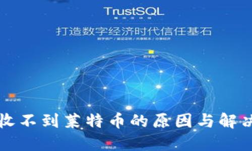 钱包收不到莱特币的原因与解决方案
