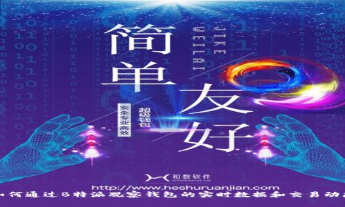 如何通过B特派观察钱包的实时数据和交易动态