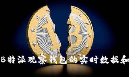 如何通过B特派观察钱包的实时数据和交易动态