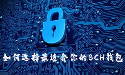 如何选择最适合你的BCH钱包