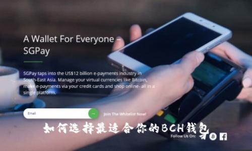 如何选择最适合你的BCH钱包