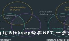 如何通过Bitkeep购买NFT：一步步指南