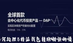 如何处理B特派钱包转账错误的情况