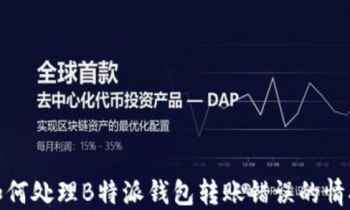 
如何处理B特派钱包转账错误的情况