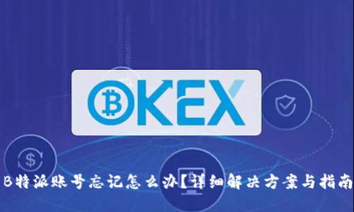 B特派账号忘记怎么办？详细解决方案与指南