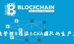 怎样有效管理B特派BCHA团队的生产力和绩效