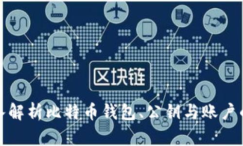 : 深入解析比特币钱包、公钥与账户的关系