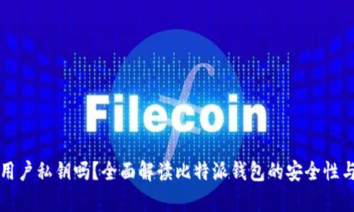 比特派有用户私钥吗？全面解读比特派钱包的安全性与隐私保护