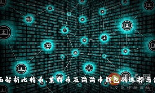 全面解析比特币、莱特币及狗狗币钱包的选择与使用